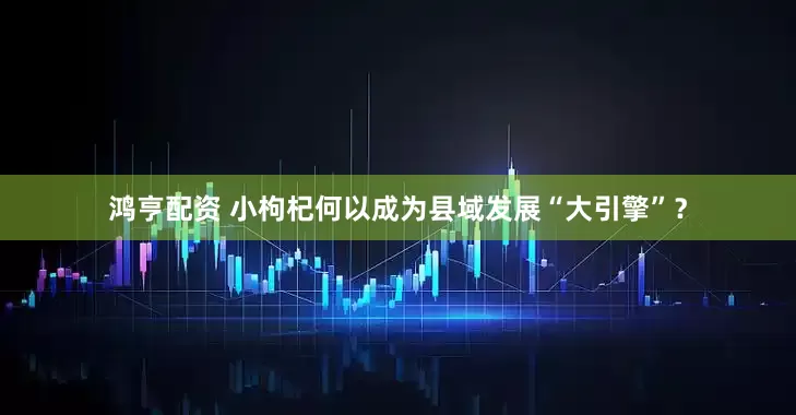 鸿亨配资 小枸杞何以成为县域发展“大引擎”？